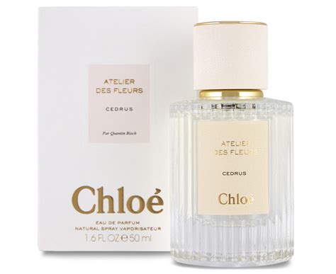 chloé cedrus